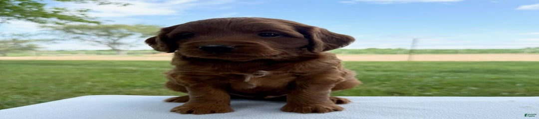 Charlie