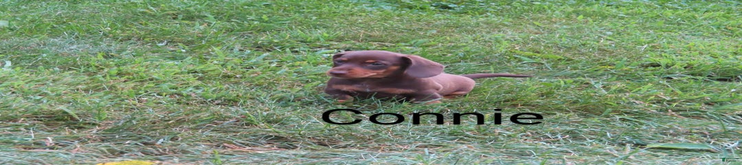 Connie