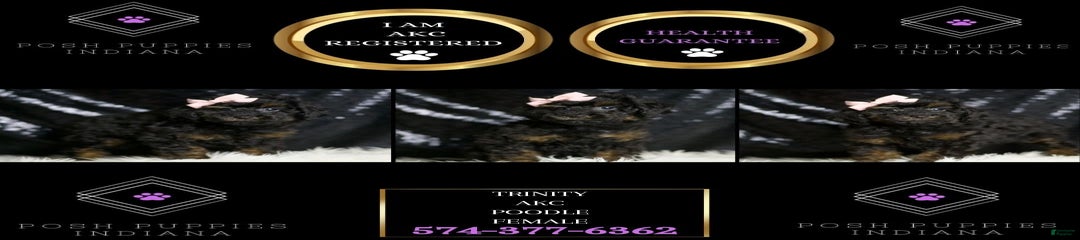 Trinity