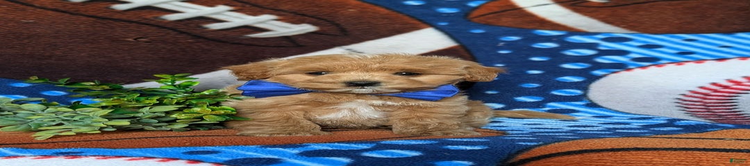 Daeg