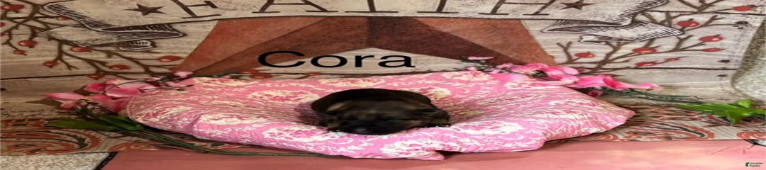 Cora