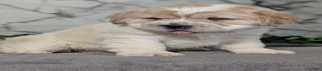Creme