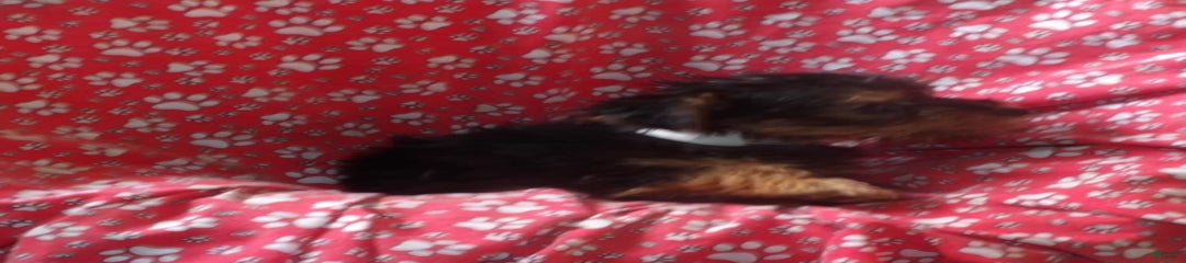 Koby
