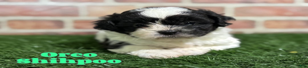 Oreo