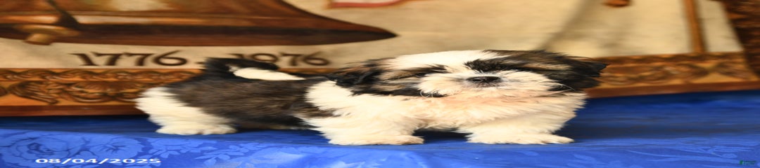 Barkley