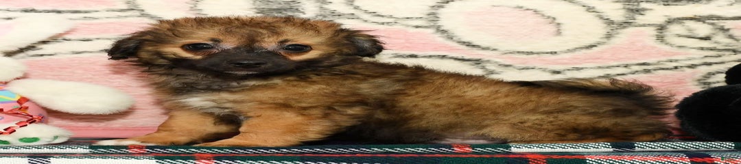 Peanut