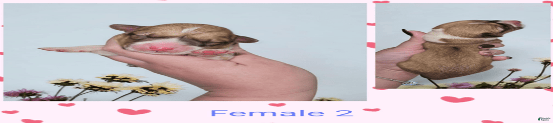 Female 2