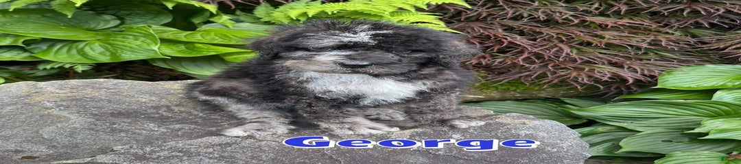 George