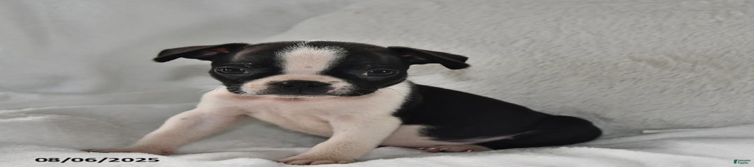 Benny