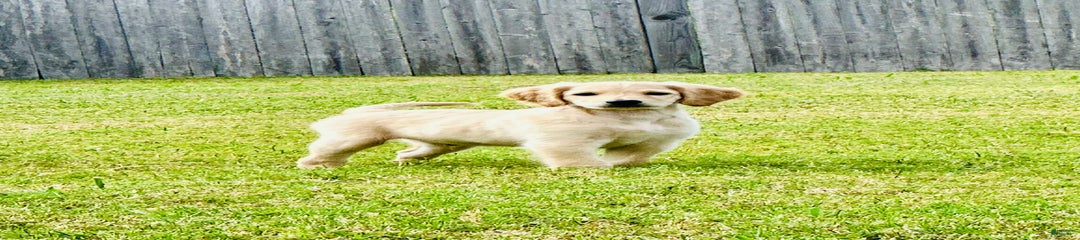 Ares