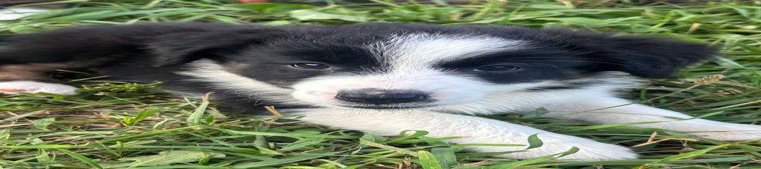 Boy 2