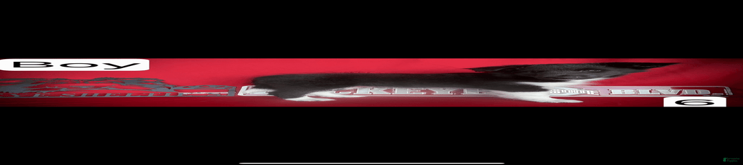 Bi-black 6