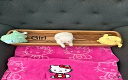 Pomeranian dogs for sale: Harley - Image 2