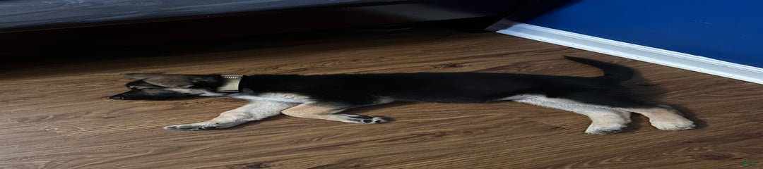 Choco