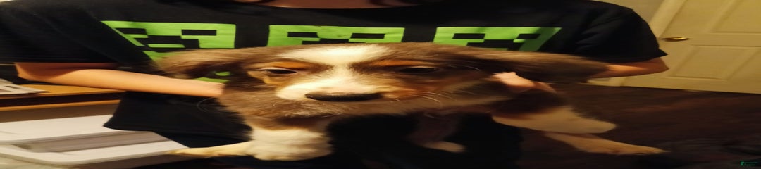 Wyatt