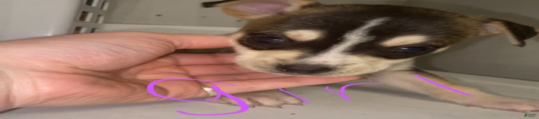 Mix