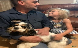 Cocker Spaniel dogs for sale: Tuckerbluetanpartimerlespeckleblueeyecockerpup - Image 17
