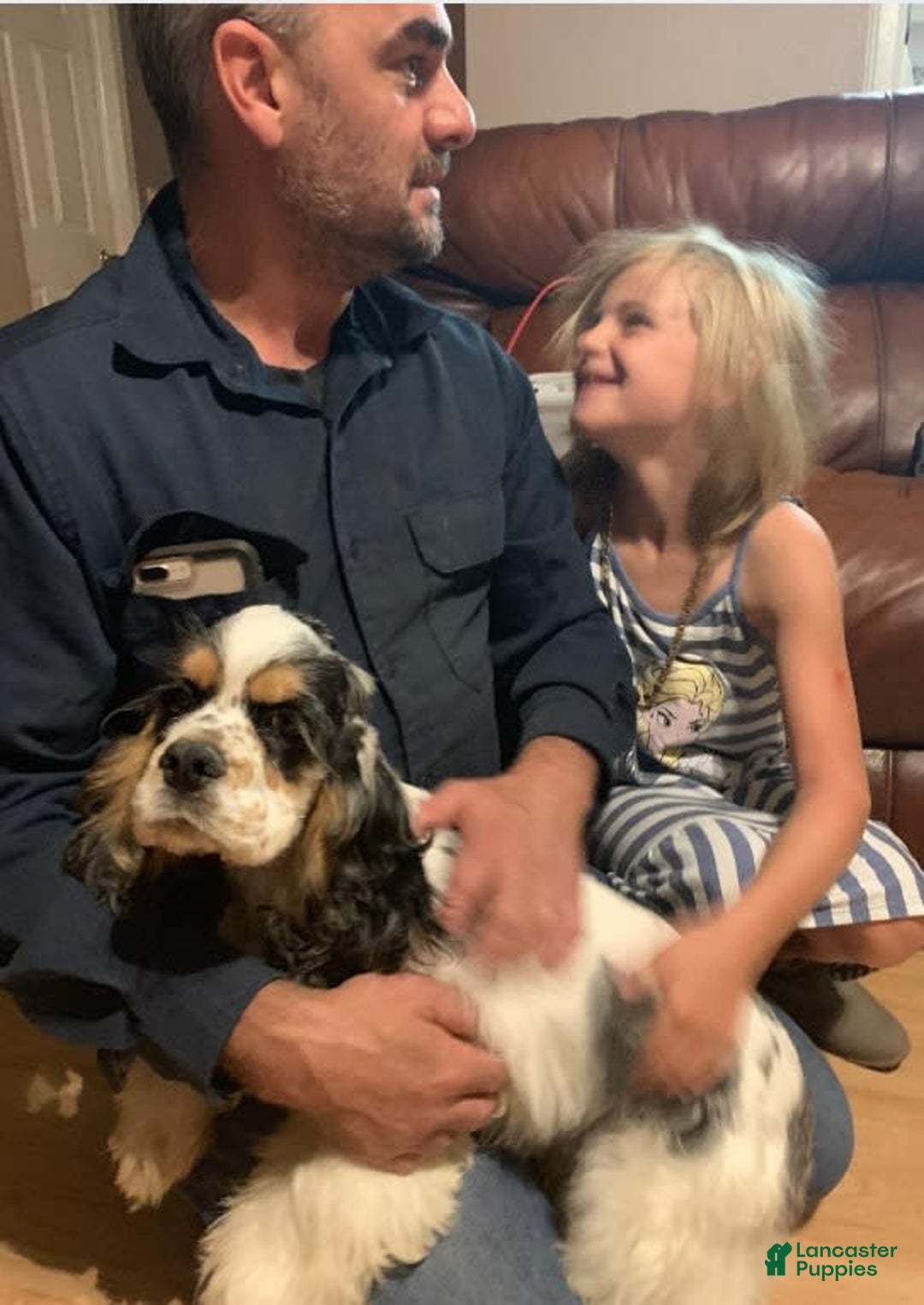Cocker Spaniel dogs for sale: Tuckerbluetanpartimerlespeckleblueeyecockerpup - Image 17