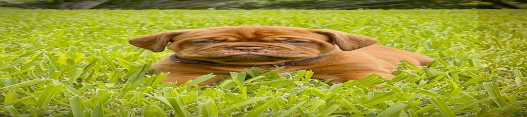 Green Female