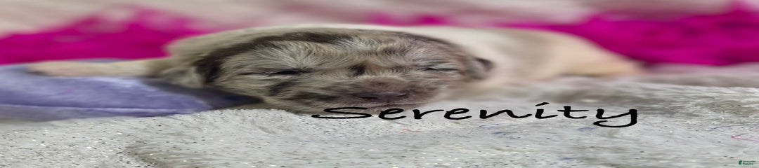 Serenity