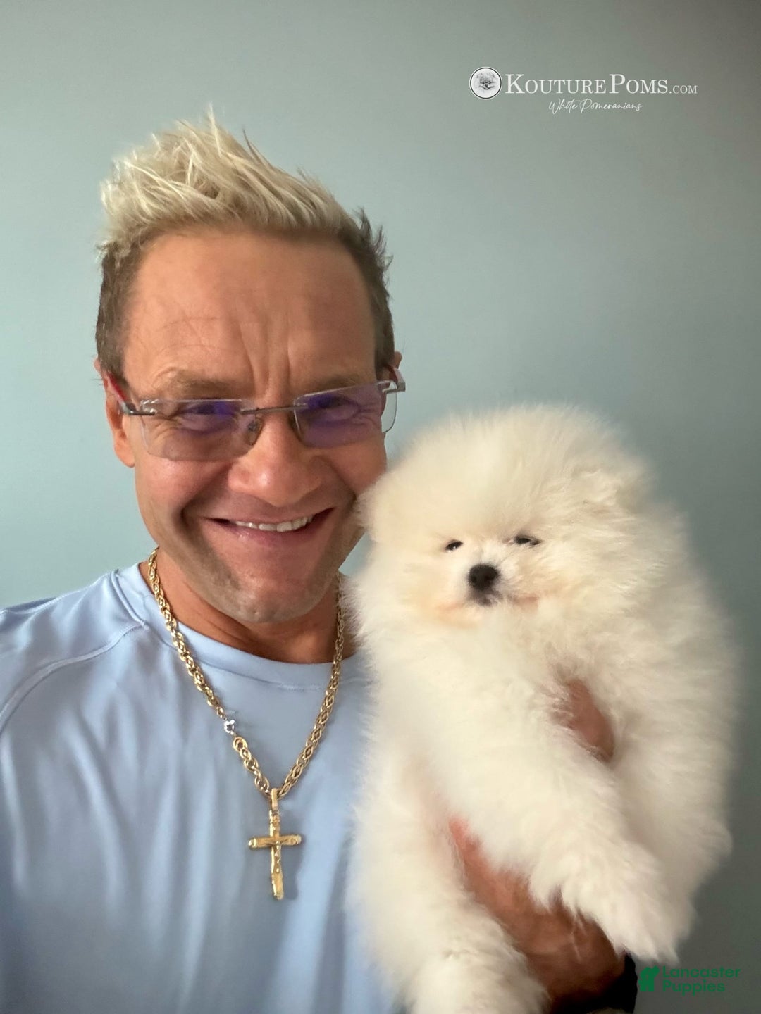 Pomeranian dogs for sale: Lola - Image 12