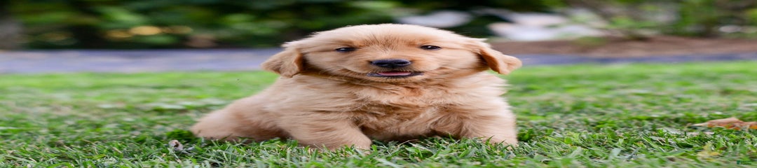 Keke