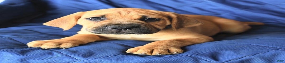 Milo