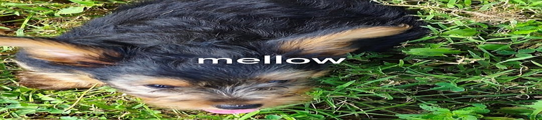 Mellow