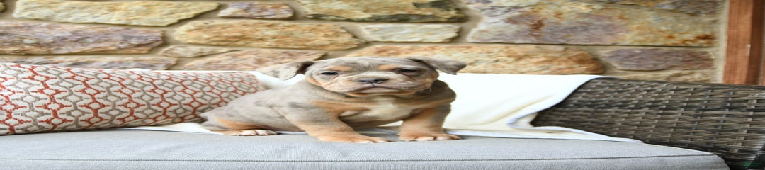 Rosie