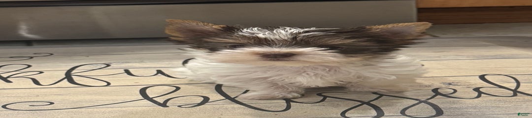 Small female
