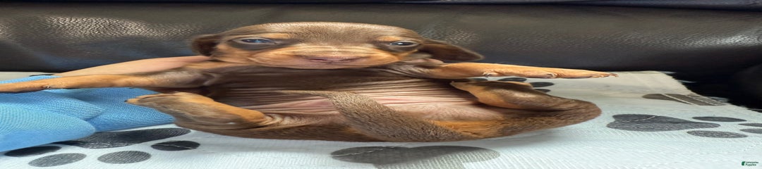 Twix