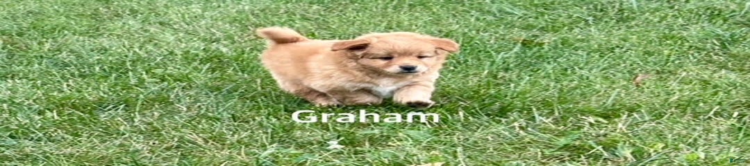 Graham