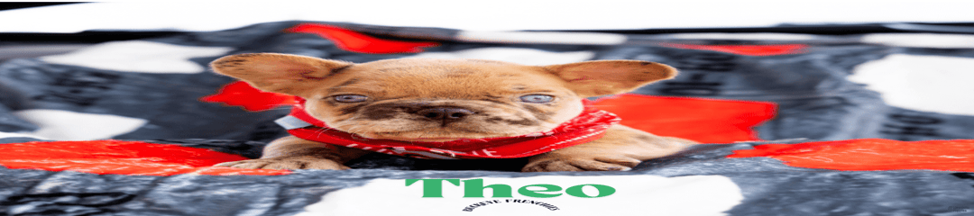 Theo