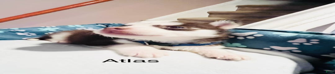 Atlas