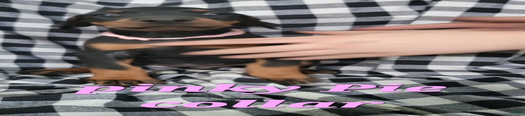 Pinky Pie