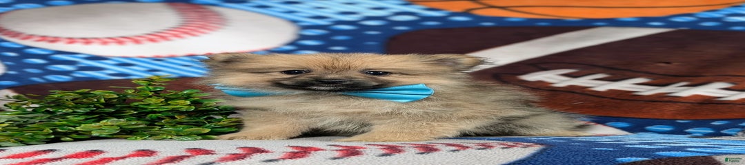 Elliott
