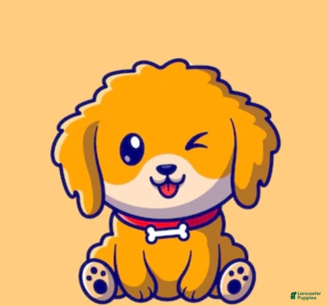common:galleryImageAlt