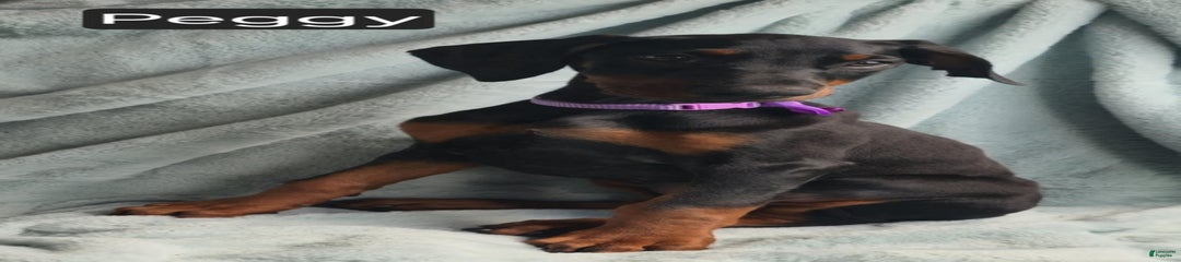 Peggy