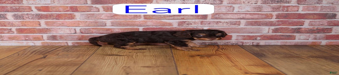 Earl