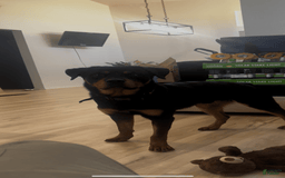 Rottweiler dogs for sale: Roxy - Image 7