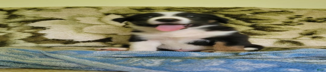 Buster