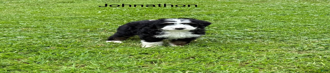 Johnathon 77957