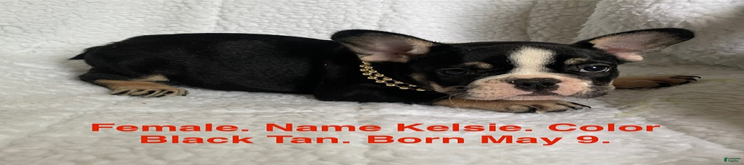 Kelsie