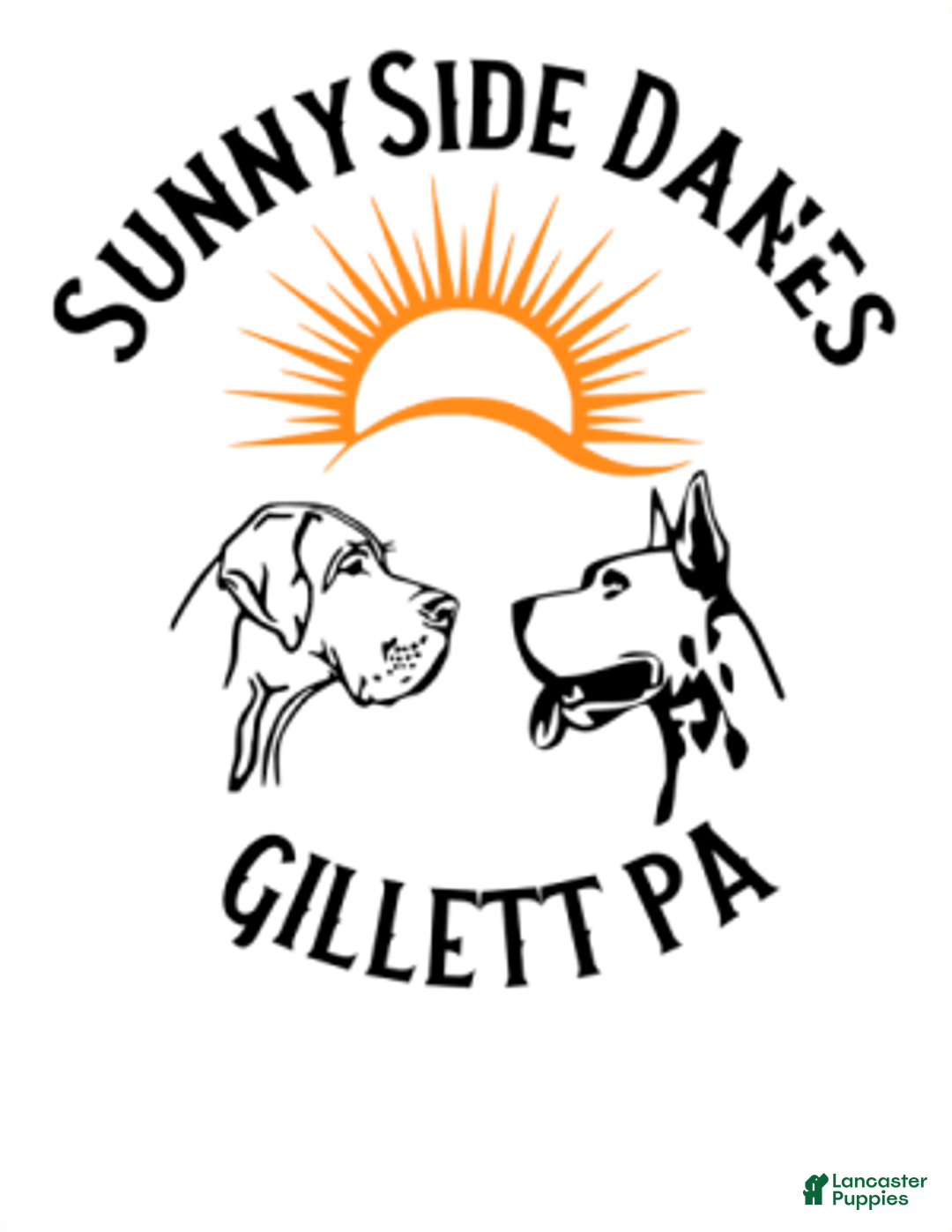 common:galleryImageAlt
