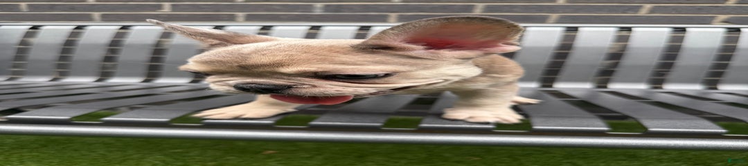 Big Ben