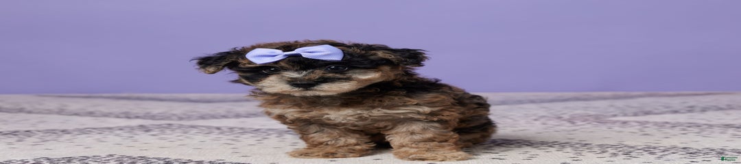 Rosie