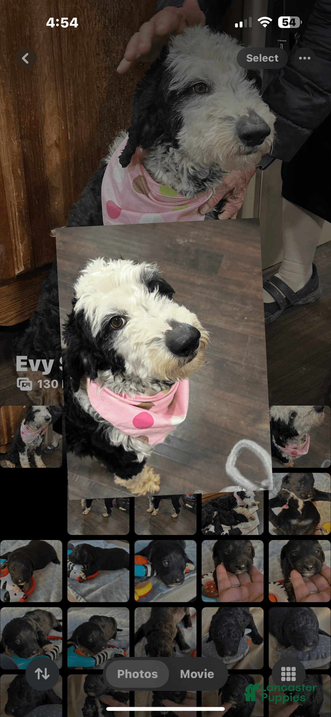 common:galleryImageAlt