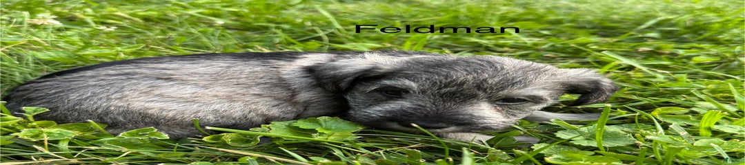 Feldman