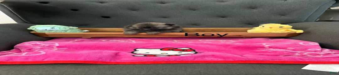 Frankie