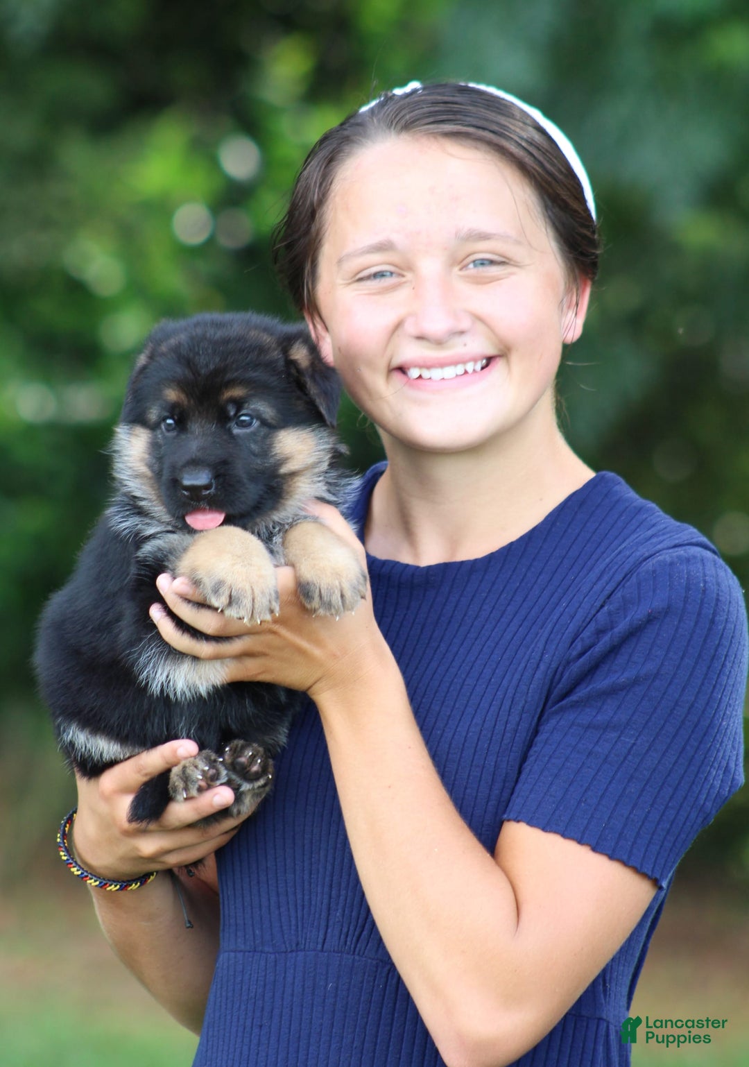 German Shepherd dogs for sale: Jessa - Image 9